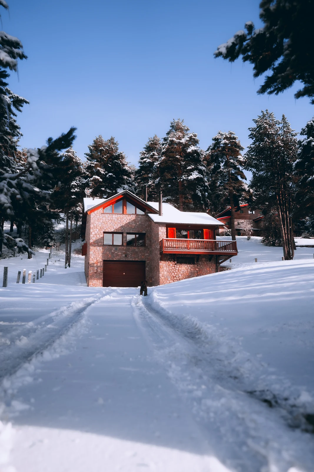 Snow-covered driveway with fresh tire tracks leading to a house among snowy pines.