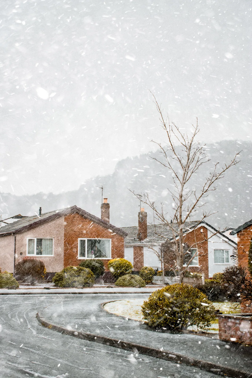 Snow falling over a quiet residential street of single-story houses in winter.